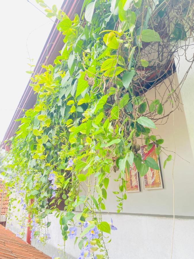 فندق Coconut Reach ميريسا المظهر الخارجي الصورة